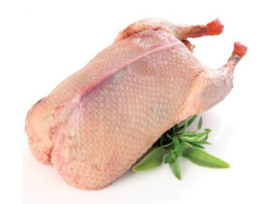 Fresh Baladi Duck