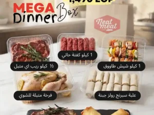 Mega Dinner Box